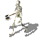37