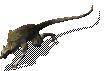 46