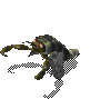 81